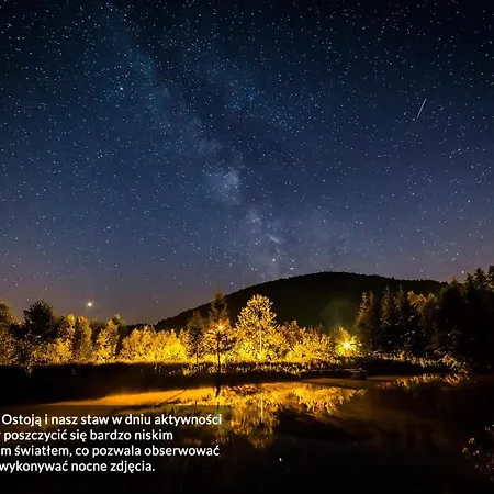 Leszczynowe Wzgorze * غووشيتسا