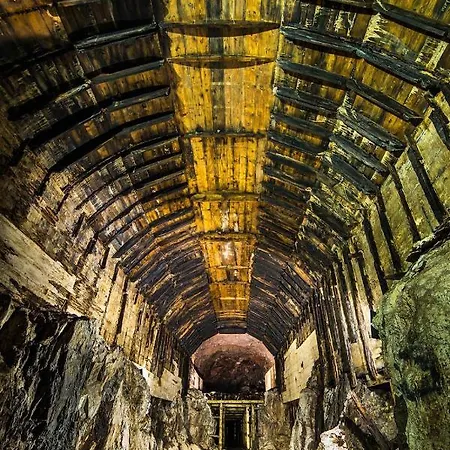 شقة Leszczynowe Wzgorze *