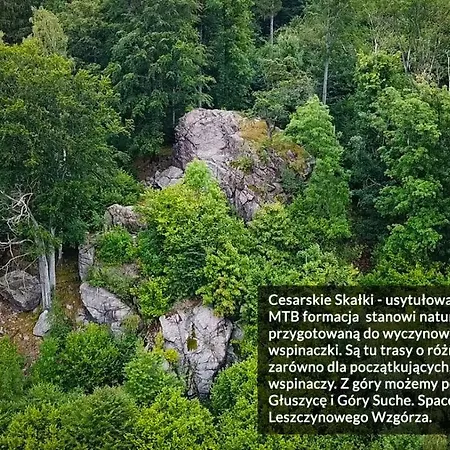 Leszczynowe Wzgorze 그우시차