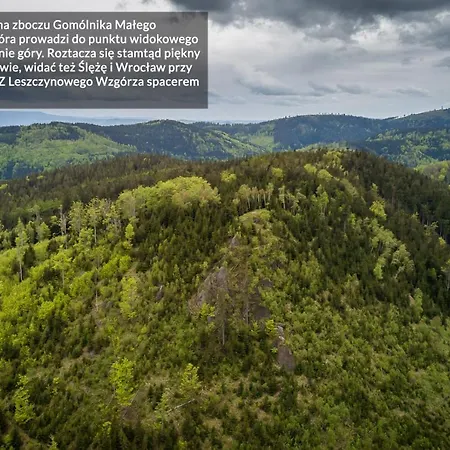 Leszczynowe Wzgorze * غووشيتسا