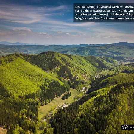 Leszczynowe Wzgorze *