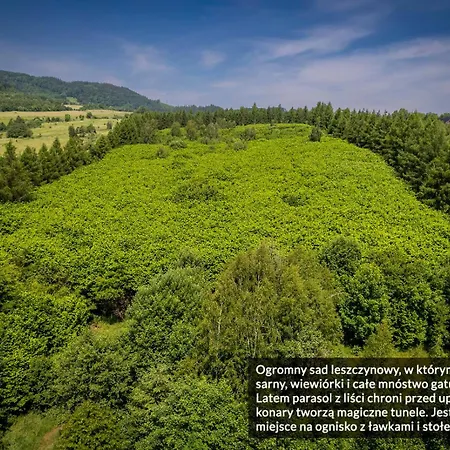 شقة Leszczynowe Wzgorze