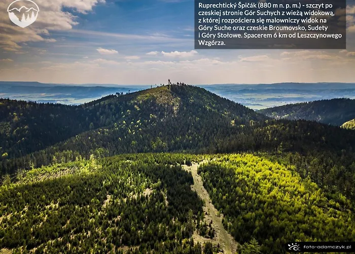 Leszczynowe Wzgorze شقة غووشيتسا