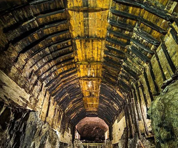 شقة Leszczynowe Wzgorze *