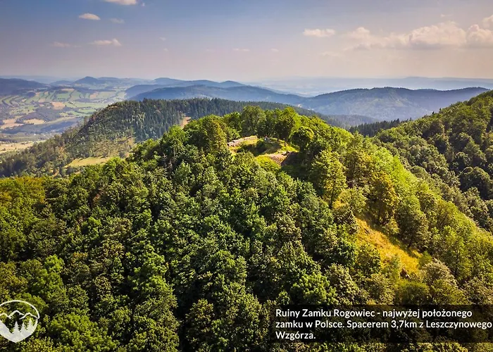 Leszczynowe Wzgorze *