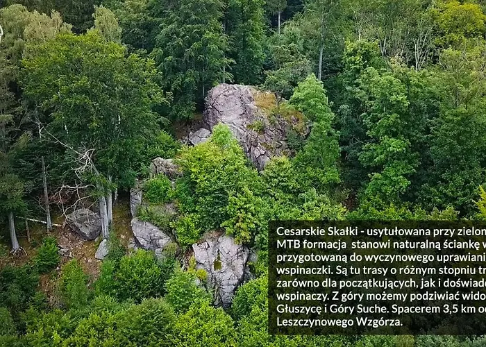 Leszczynowe Wzgorze غووشيتسا