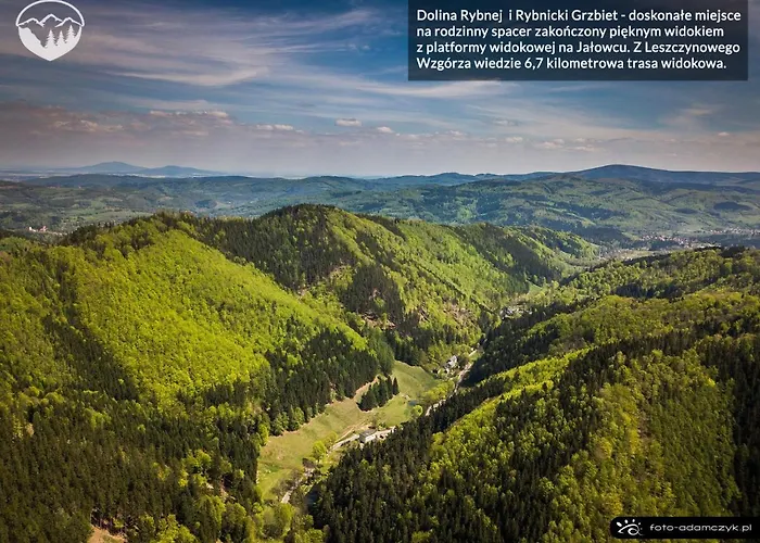 Leszczynowe Wzgorze *