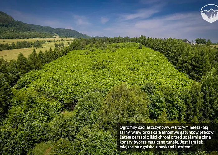 شقة Leszczynowe Wzgorze